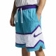 Nike Throwback