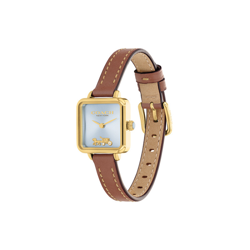 COACH CASS 22 14504231