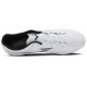 Mizuno Monarcida Neo III Select AG