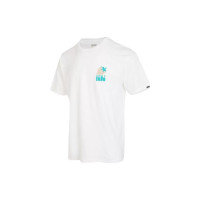 Vans T