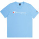 Champion T