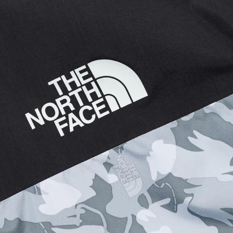 THE NORTH FACE 1986 Logo
