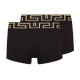 VERSACE logo 12
