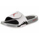 Jordan Air Jordan 5