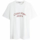 CALVIN KLEIN T