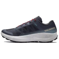 SALOMON VISION