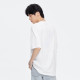 FAIRWHALE T
