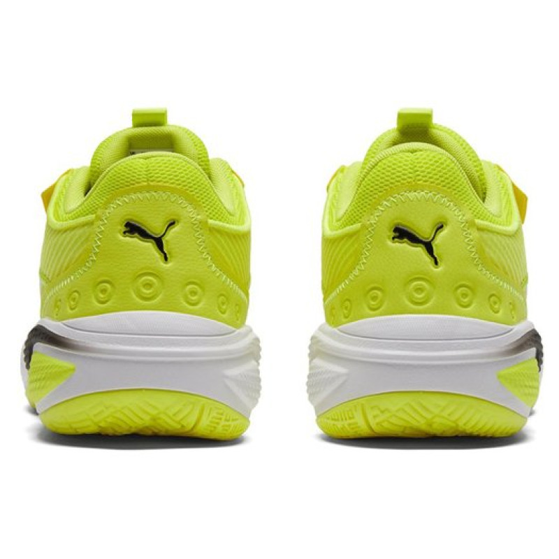 PUMA TPU