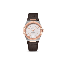 OMEGA 39mm 131.23.39.20.02.001