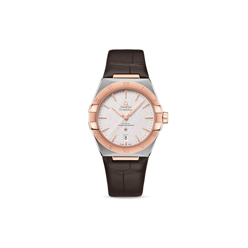 OMEGA 39mm 131.23.39.20.02.001