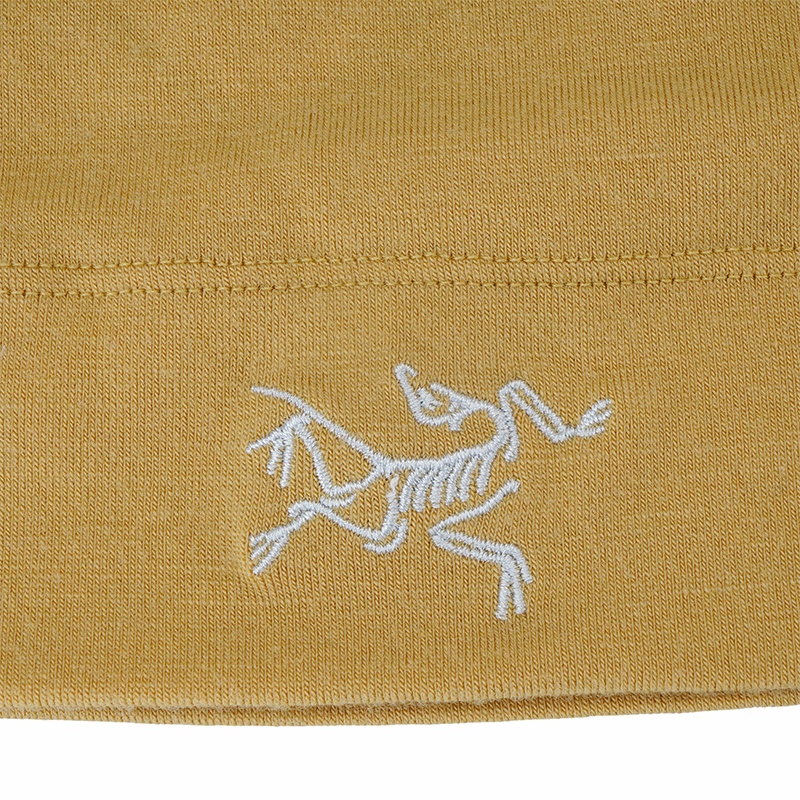 Arcteryx