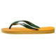 Havaianas Brazil Logo