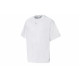 Puma T