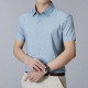 PIERRE CARDIN Polo