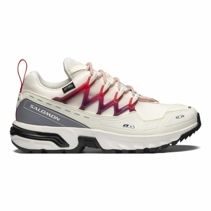 SALOMON ACS + CSWP
