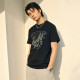 FAIRWHALE T