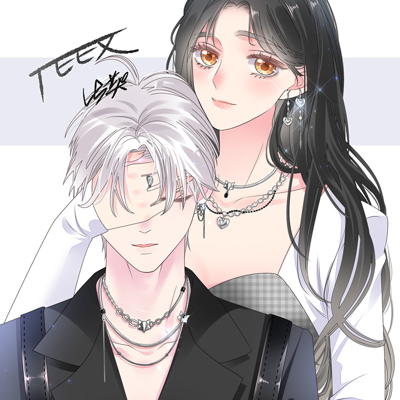 TEEX3D CP