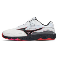Mizuno