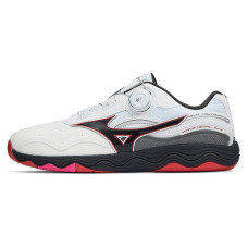 Mizuno