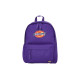 Dickies Logo