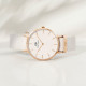 Daniel Wellington DWDW 28MM