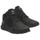 Timberland Winsor