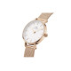 Daniel Wellington 24mm 30 DW00100447-gj
