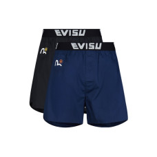 EVISU 2