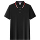 PIERRE CARDIN Polo