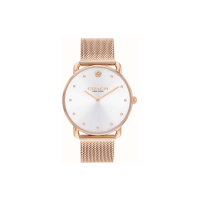 COACHElliot 36mm 14504222