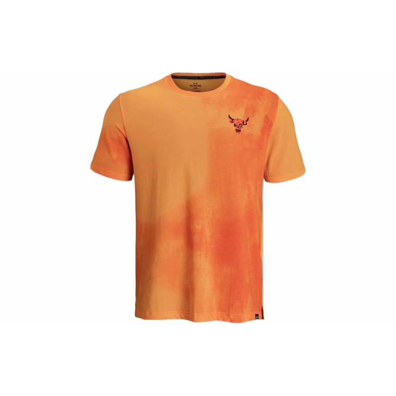 Under Armour T
