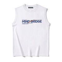 MindBridge