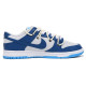 Nike Dunk Low Retro vibe