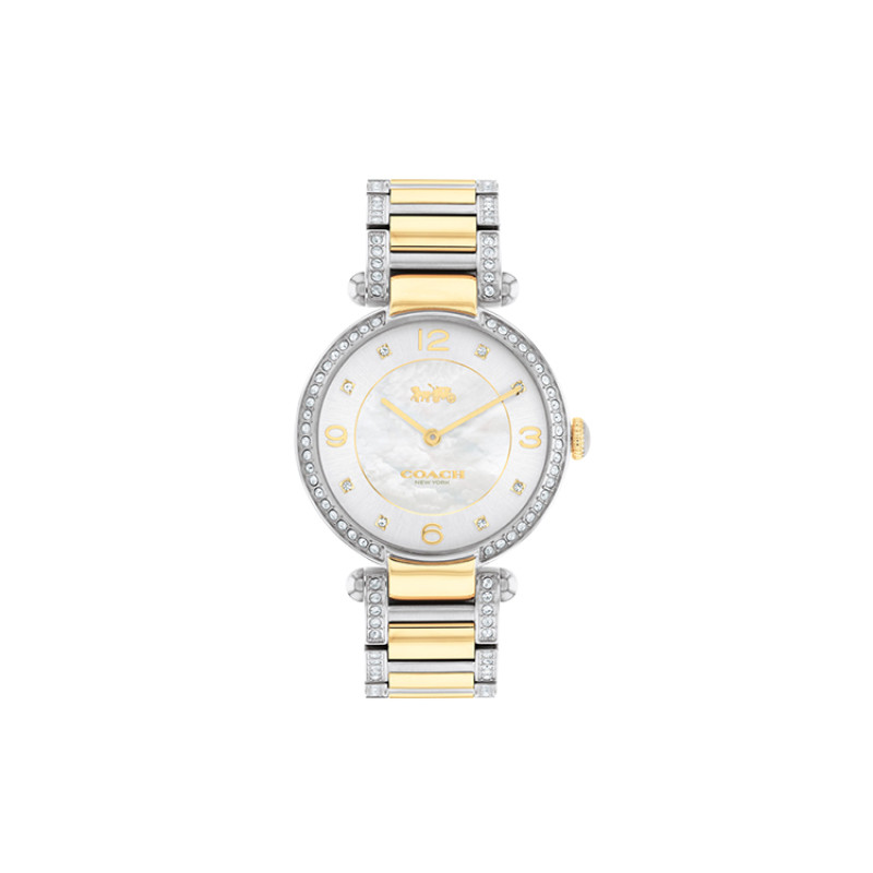 COACHCARY 34mm 30 14503833