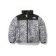 THE NORTH FACE Logo