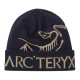 Arcteryx
