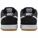 Nike Dunk SB pro iso 