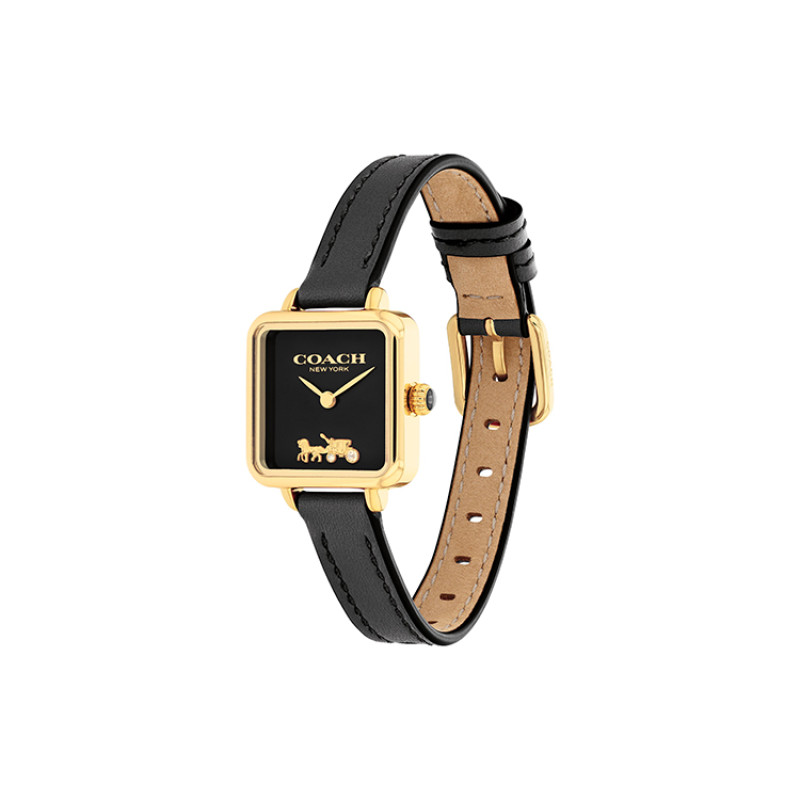 COACHCass 22mm 14504225