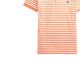 Polo Ralph Lauren LogoPolo