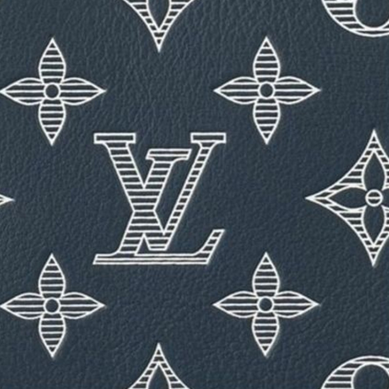 LOUIS VUITTON Multiple Wallet