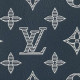 LOUIS VUITTON Multiple Wallet