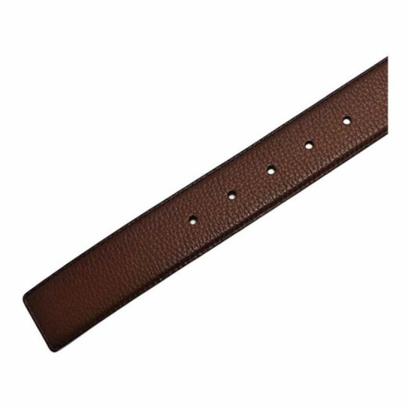 COACH 3.8cm