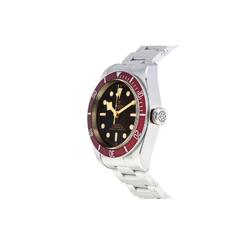 TUDOR 41mm M79230R-0012