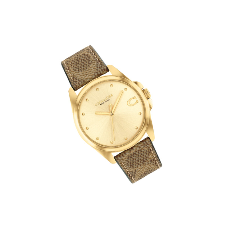 COACHGREYSON 36mm 14504111