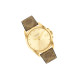 COACHGREYSON 36mm 14504111