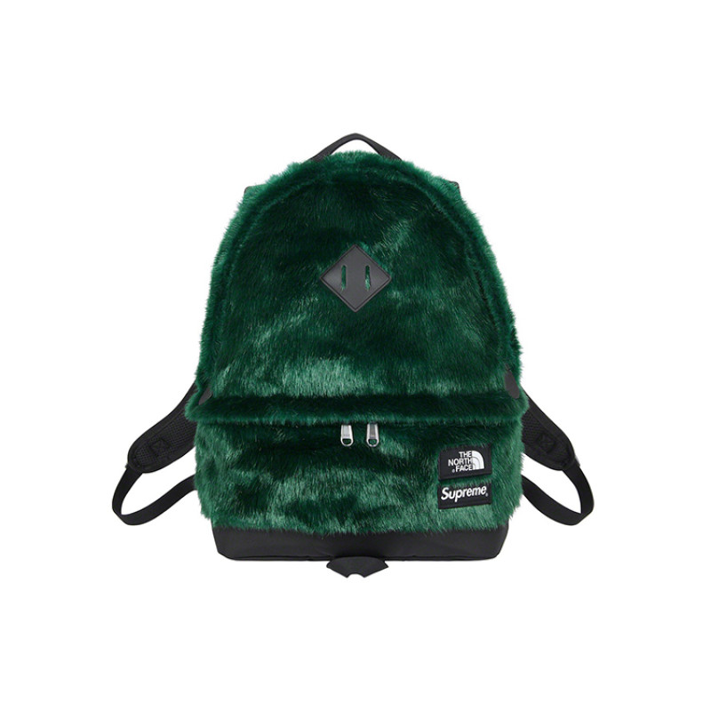 Supreme x The North Face FW20 Week16 Logo