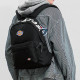Dickies Logo