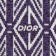 DIOR SS22