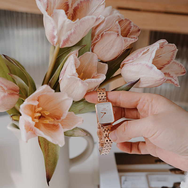 Daniel Wellington dw DW00100620+DW00400003