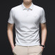 PIERRE CARDIN Polo